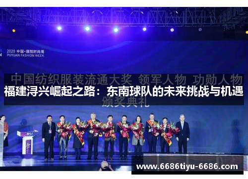 福建浔兴崛起之路：东南球队的未来挑战与机遇